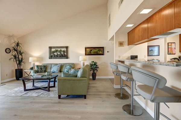 LIVING SPACE AND BAR TOP