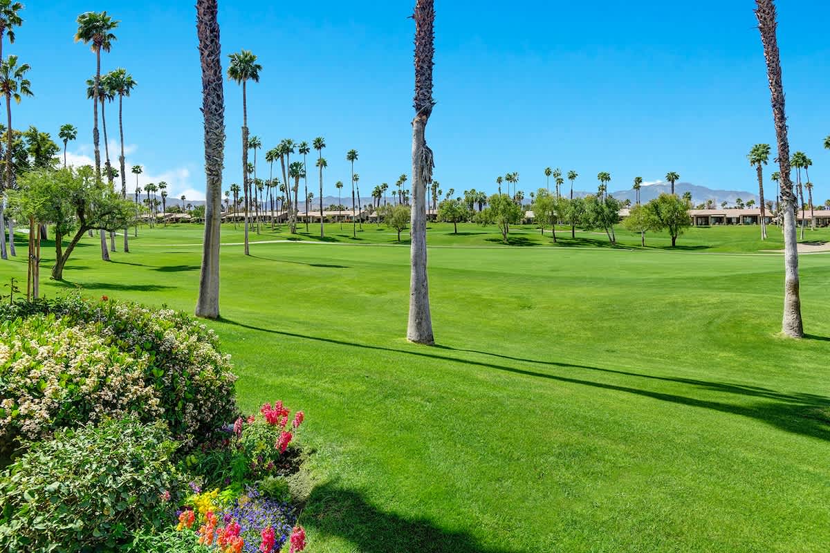 V3947- Greens and Dreams