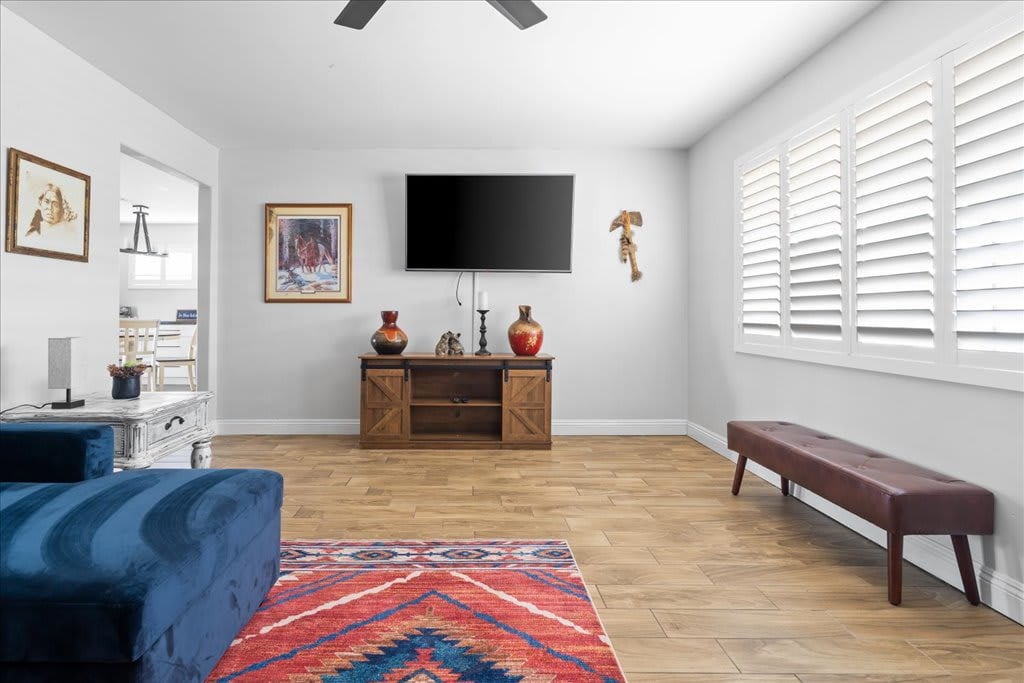 LIVING AREA - TELEVISION